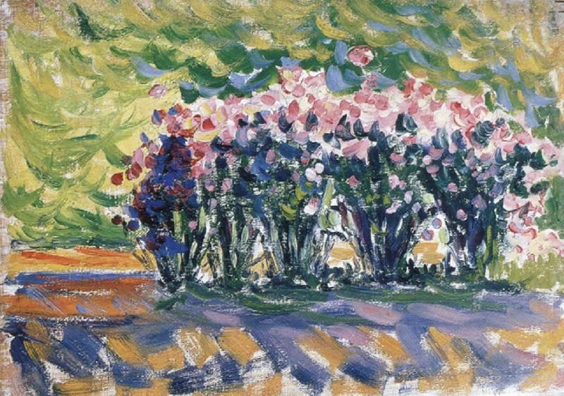 oleanders, Paul Signac